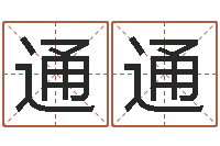 郭通通童子命年4月结婚吉日-风水学视频教程