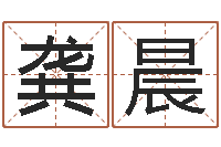 龚晨十二生肖的配对-在线婚姻算命免费