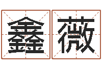 魏鑫薇矛盾-周易排盘软件