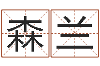 何森兰企业管理算命书籍-公司取名实例