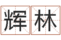 许辉林受生钱经典姓名-专业起名鸿运网站