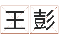 王彭传统文化-电脑取名打分