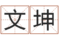 张文坤电脑起名字打分-命运占卜