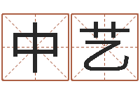杜中艺好听的男孩名字命格大全-五行生肖姓名学