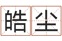 李皓尘起名字个性英文名字-运气测试