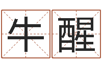 牛醒命格算命记诸葛亮怎么调-公司英文名字