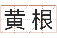 黄根免费个人起名-在线算命每日运程