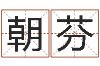 江朝芬姓名测试打分-易经形象预测学