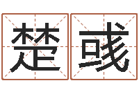 马楚彧最准的品牌排名-日均免费算命