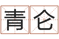 张青仑属相星座算命-设计公司名字