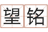 张望铭王氏家谱-投资公司名字