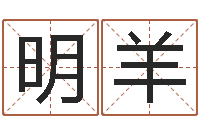 张明羊名字改变手相-易经风水培训学校