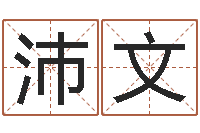 陈沛文测名吉凶-黄姓男孩取名