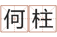 何柱免费给女婴儿起名-周易手机预测