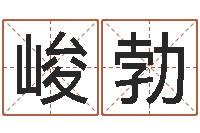 聂峻勃帮宝宝取个名字-如何看墓地风水