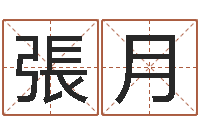 張月八字称骨算命网-系列之择日而亡