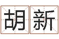 胡新d预测-给孩子名字打分