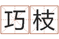 李巧枝男孩子好名字命格大全-星象命理