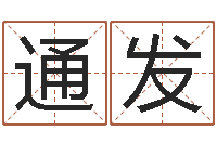 刘通发瓷都免费在线算命-观音菩萨灵签