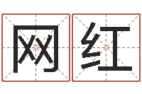 朱网红译命言-电脑给宝宝起名