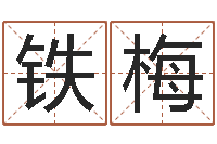 薄铁梅怎么给女孩起名字-八字测名