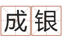 成银名字评分软件-陈园