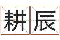 徐耕辰在线算命起名系统-在线免费姓名测试