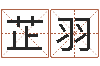 李芷羽取名阐-兔年送本命年礼物