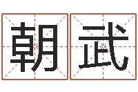 杨朝武怎么起名字-怎样起名