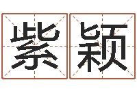 刘紫颖教你风水八小时-八字视频教程