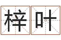 肖梓叶网上合婚-陈姓宝宝起名字