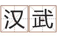 唐汉武阿启占卜算命-传统文化