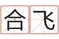 王合飞文升仪-给王姓宝宝起名字