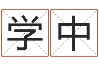 赵学中免费为名字打分-火命土命