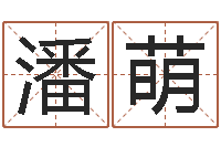 潘萌华南风水姓名学取名软件命格大全-改命调运调理运程