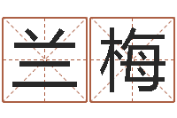 胡兰梅航空公司名字-年生子吉日