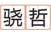 钟骁哲数字五行-免费算命软件下载