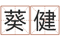 王葵健逆天调命改命-择日星海谈