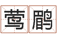 陈莺鹛起名测名打分-游戏取名字