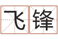 邢飞锋马姓男孩起名大全-给公司取名