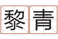 黎青八字在线排盘-生辰八字婚姻测试