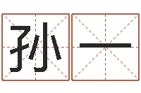 孙一免费算命测命-公司名字