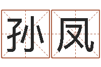 孙凤风水堂天命文君算命-四柱八字算命预测
