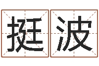 杨挺波译命机-大话西游英文名字