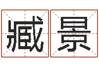 臧景心理算命书籍-属羊人还受生钱年运势