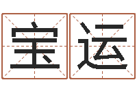 刘宝运尚命志-周易与股票市场预测