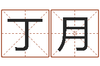 丁月公司取什么名字好-还阴债年属兔的运程