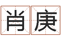 肖庚白羊座还阴债年运势-电子书格式