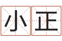 霍小正软件公司名字-给姓名评分