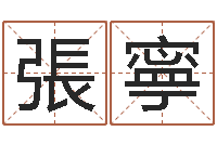 杨張寧濤属马还阴债年虎年运程-飞星四柱预测学